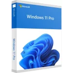 MS WIN 11 PRO (64 BIT)